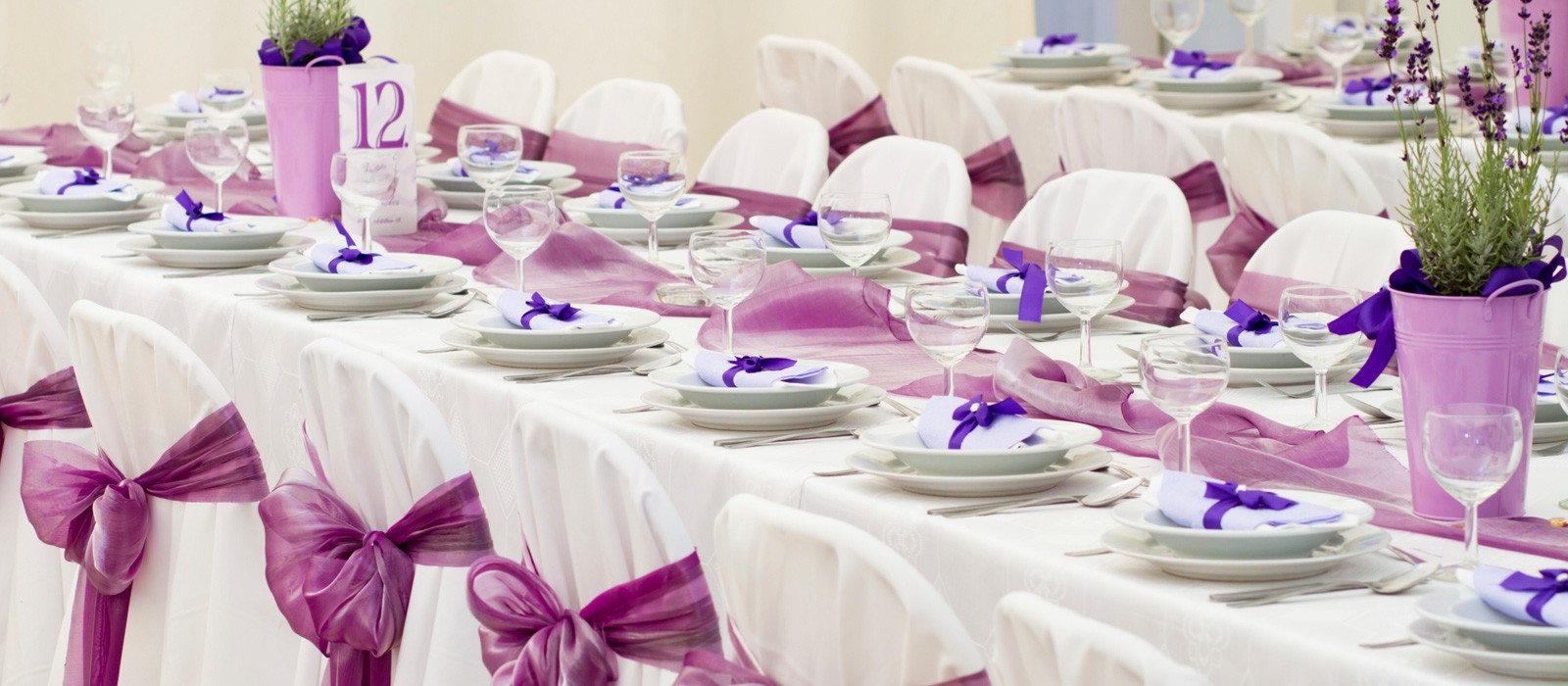 Masa Sandalye Kiralama